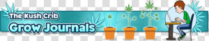 Flowerpot  HD Png Download