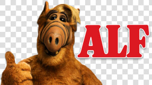 Alf Hd Png  Transparent Png