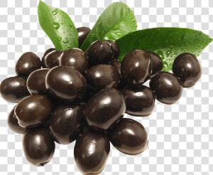 Food natural Coffee Plant   Black Olives Png  Transparent Png