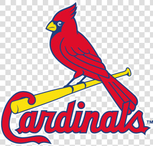 Louis Cardinals Logo Vector   St Louis Cardinals Logo 2019  HD Png Download