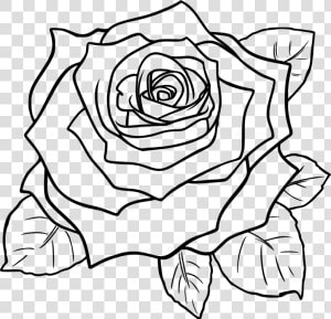 Art symmetry rose Order   Rose Clipart Black And White Flowers  HD Png Download