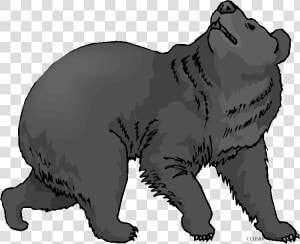 American Black Bear Clip Art Grizzly Bear Polar Bear   Clip Art Of Bears  HD Png Download