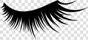 Like Our Stuff Get A Custom Logo Via Our   Eyelash Png  Transparent Png