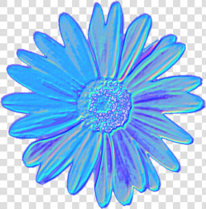 Blue Daisy Flower Tumblr Aesthetic Vaporwave Iridescent  HD Png Download