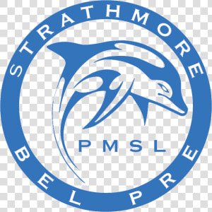 Strathmore Bel Pre Dolphins Logo   Battery Creek High School Mascot  HD Png Download