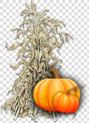 Pumpkin   Png Download   Corn Stalk Pumpkin  Transparent Png