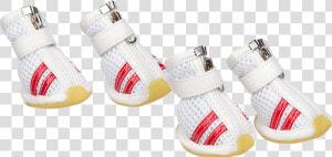 Dog Booties   Dog Adidas Shoes  HD Png Download