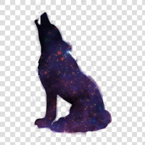 Galaxy Wolf Howling   Black Wolf Shadow Png  Transparent Png