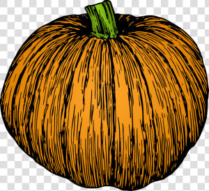 Vegetable commodity food   Pumpkin Drawing Transparent Background  HD Png Download