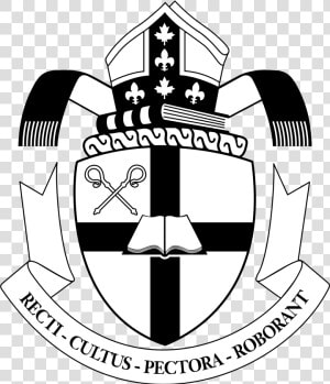 Bishop  39 s University Logo Png  Transparent Png