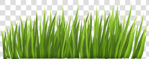 Grass Line Clipart   Grass Clipart  HD Png Download