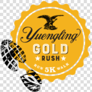 Yuengling Gold Rush 5k   Yuengling Logo Png  Transparent Png