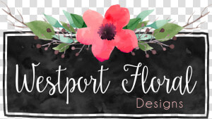 Westport Floral Designs   Carolina Rose  HD Png Download