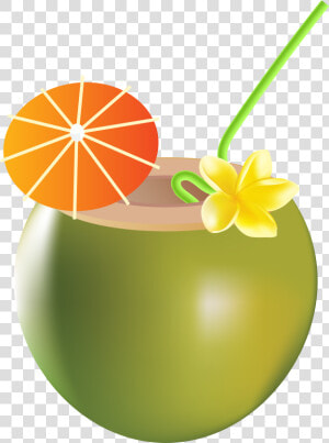 Transparent Tropical Drink Clipart   Summer Drink Clipart  HD Png Download