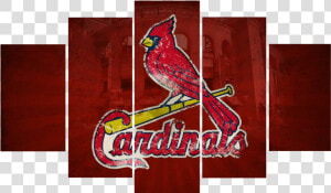 St Louis Cardinals   Png Download   St Louis Cardinals Cool Logo  Transparent Png