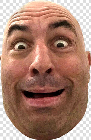  ​img    Joe Rogan Png  Transparent Png