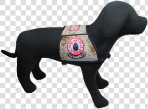 Patriot S Service Dog Reflective Vest   Dachshund  HD Png Download