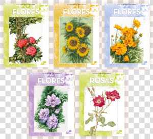 Maimeri Fiori   Bouquet  HD Png Download