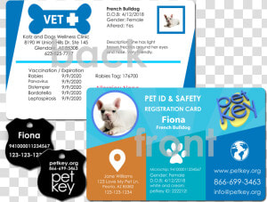 Order Pet Id Card   Nationwide Pet Insurance Card  HD Png Download