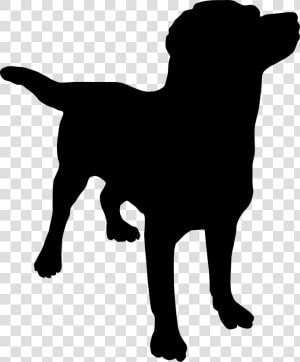 Dog Profile Clipart Images Pictures   Dog Clipart Silhouette Png  Transparent Png