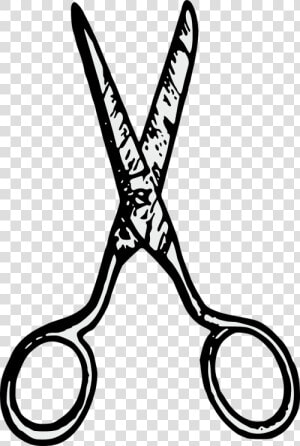 Scissors   Tesoura De Barbearia Png  Transparent Png