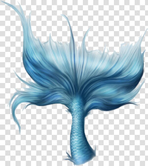 Transparent Sirena Png   Blue Mermaid Tail Png  Png Download