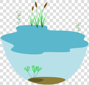 Lake  Ecosystem  Ecosystems Water Water  HD Png Download