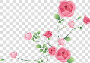 Flower Photoshop Clipart   Pink Flowers For Photoshop  HD Png Download