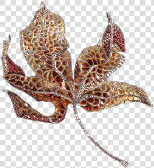 Leaf   Png Download   Luz Camino Joyas  Transparent Png