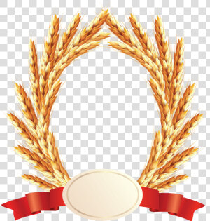 Wheat Png Image   Sundar Bhog Atta  Transparent Png