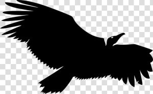 Vulture Silhouette Png Clipart   Png Download   Transparent Vulture Clip Art  Png Download