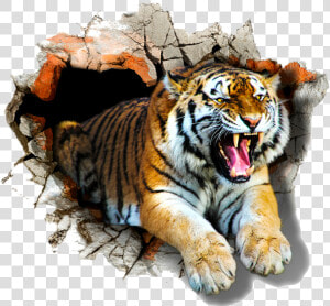  tiger roar   Transparent Tiger 3d Png  Png Download