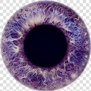  eye  eyecolor  purple  violet  lavender  color  iris   Violet Eyes Transparent Background  HD Png Download