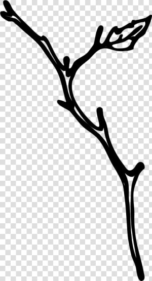 Twig Clipart   Png Download   Twig Black And White Png  Transparent Png