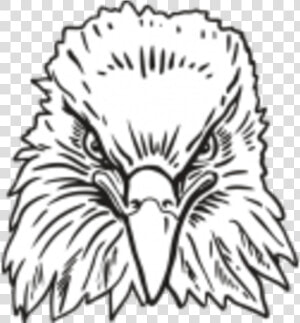 Transparent Eagle Head Clipart Black And White   Eagle Front Face Drawing  HD Png Download