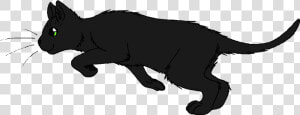 Lightningtail   Ravenwing Warrior Cats  HD Png Download