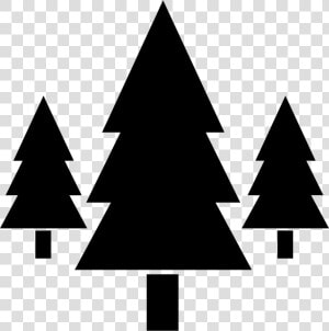 Forestry Clipart Black And White  HD Png Download