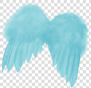 Feather Angels Angel Wing   Blue Feather Wings Angel Png  Transparent Png