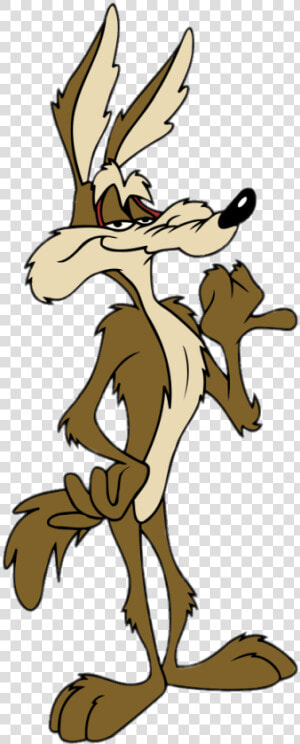 Wile E   Coyote   Wile E Coyote Png  Transparent Png