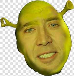 Shrek Face Png   Nicolas Cage  Transparent Png