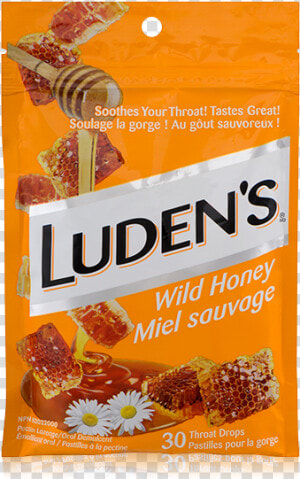 Bring Me The Horizon Ludens  HD Png Download