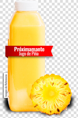 Refresco De Piña Alinal   Portable Network Graphics  HD Png Download