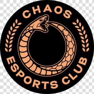 Transparent Fnatic Png   Chaos Esports Club  Png Download