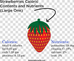 Health Benefits Of Strawberries   Harvey Straight Talk No Chaser  HD Png Download