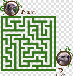 Hardest Maze Ever Made  HD Png Download