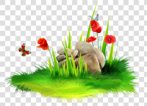 Picture Transparent Stock Long Grass Clipart   Real Grass Flower Png  Png Download