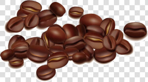 Coffee Bean Seed   Coffee Bean Vector Png  Transparent Png