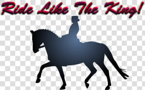 Ride Like The King Png Free Image Download   Aksel Turizm  Transparent Png