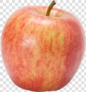 Gala Apples Png   Honeycrisp Apple Transparent Background  Png Download