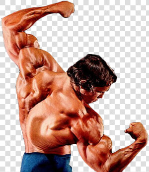 Arnold Schwarzenegger Bodybuilding Png Images   Arnold Schwarzenegger Best Pose  Transparent Png